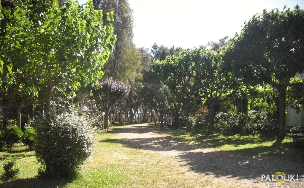 Campsite Palouki gallery 3