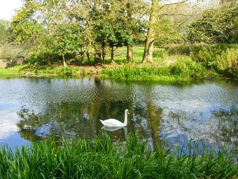 Outney Meadow Caravan Park