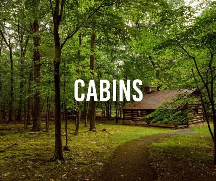 Rhododendron Camping Area