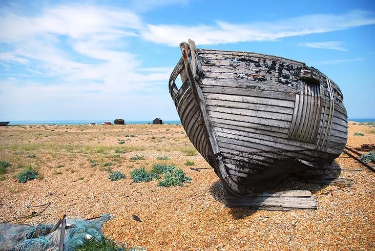 Romney Meadows Caravan and Camping Park