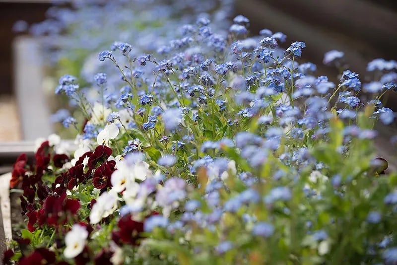 Oakdown Touring & Holiday Caravan Park gallery 1