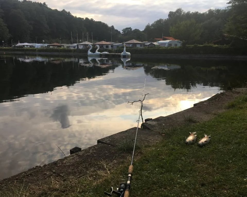 Randboldal Camping - CamplinQ