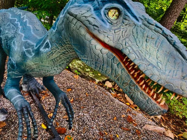 Hemlock Hideaway Campground gallery 3