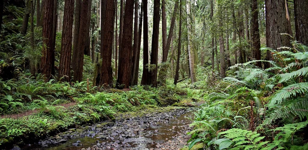 Stillwater Cove Regional Park