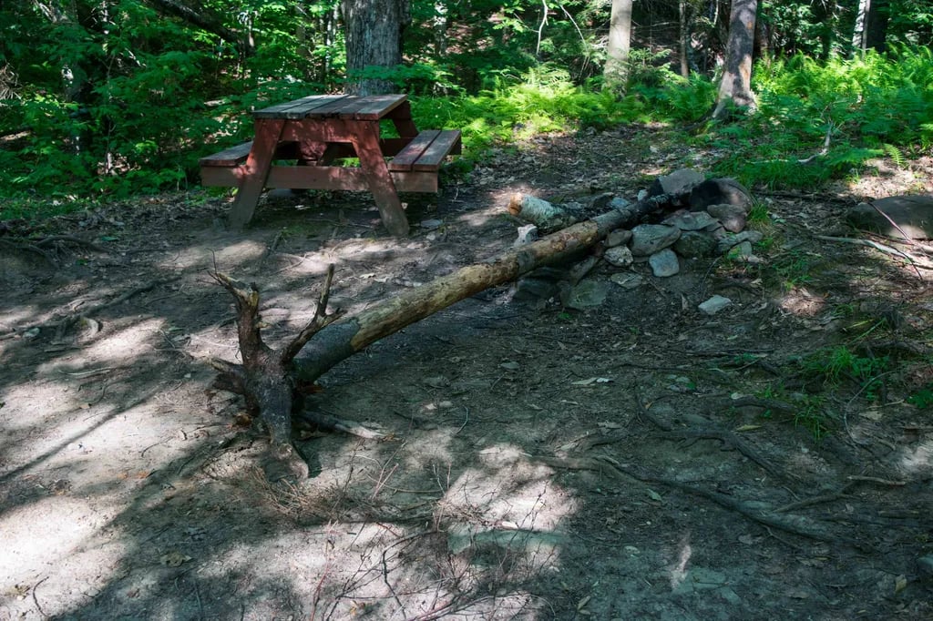 Maple Hill Campsites gallery 1