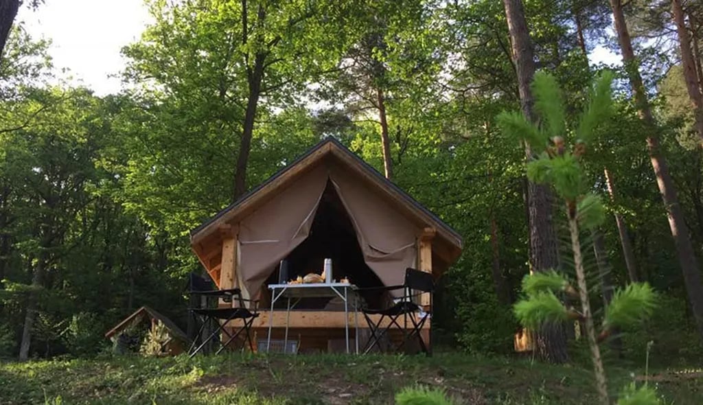 Camping Du Haut-koenigsbourg
