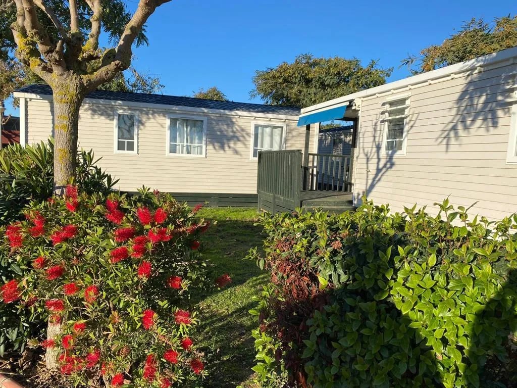 Resort Els Pins gallery 2