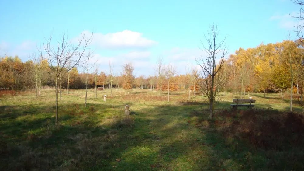 Camping Petrushoeve gallery 3