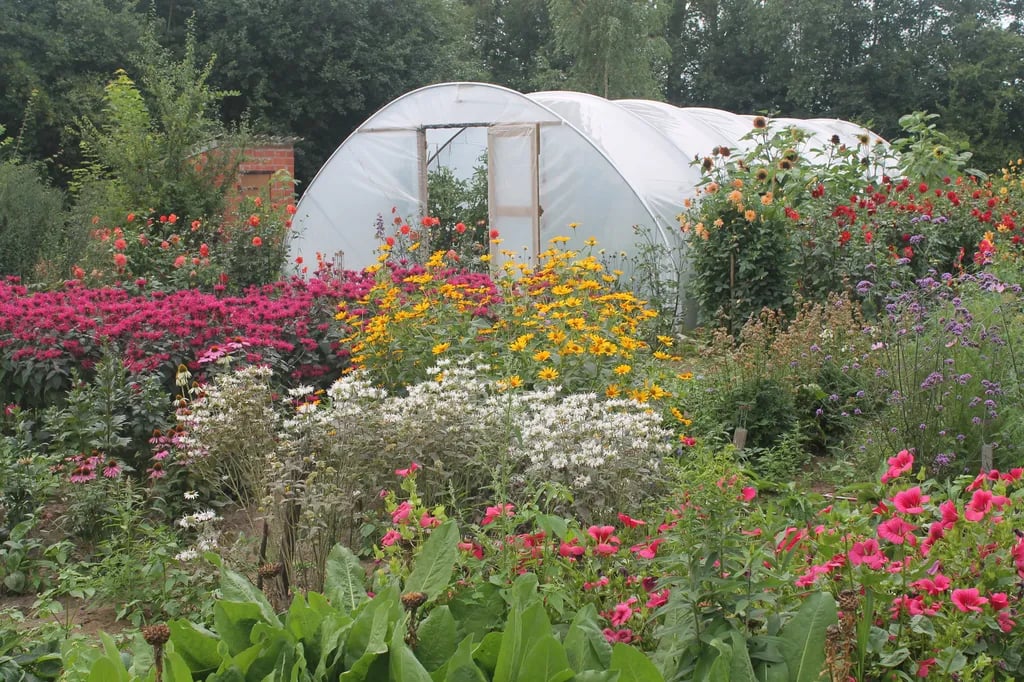 Camping De Nachtegaal gallery 3