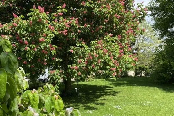 Campingplatz Hof Gimbach gallery 3