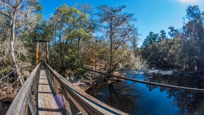 Paynes Prairie Preserve State Park Campground gallery 1