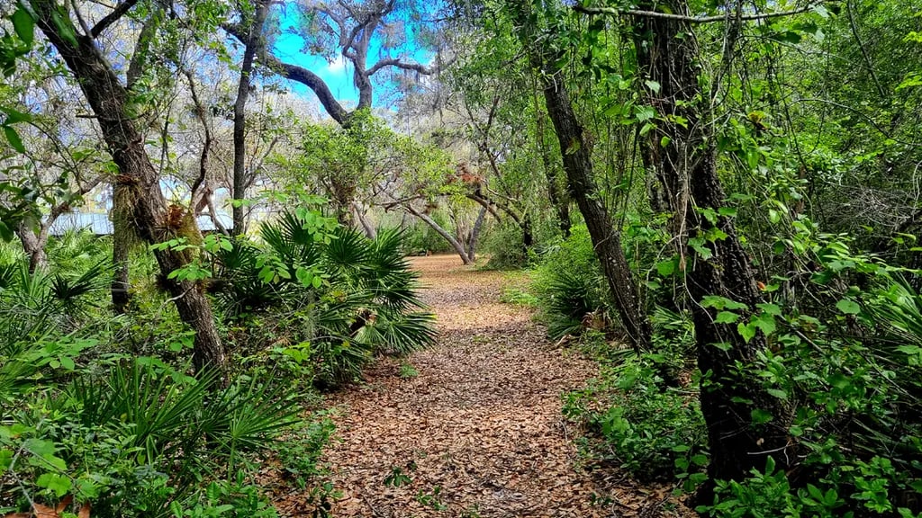 Merry D RV Sanctuary gallery 1