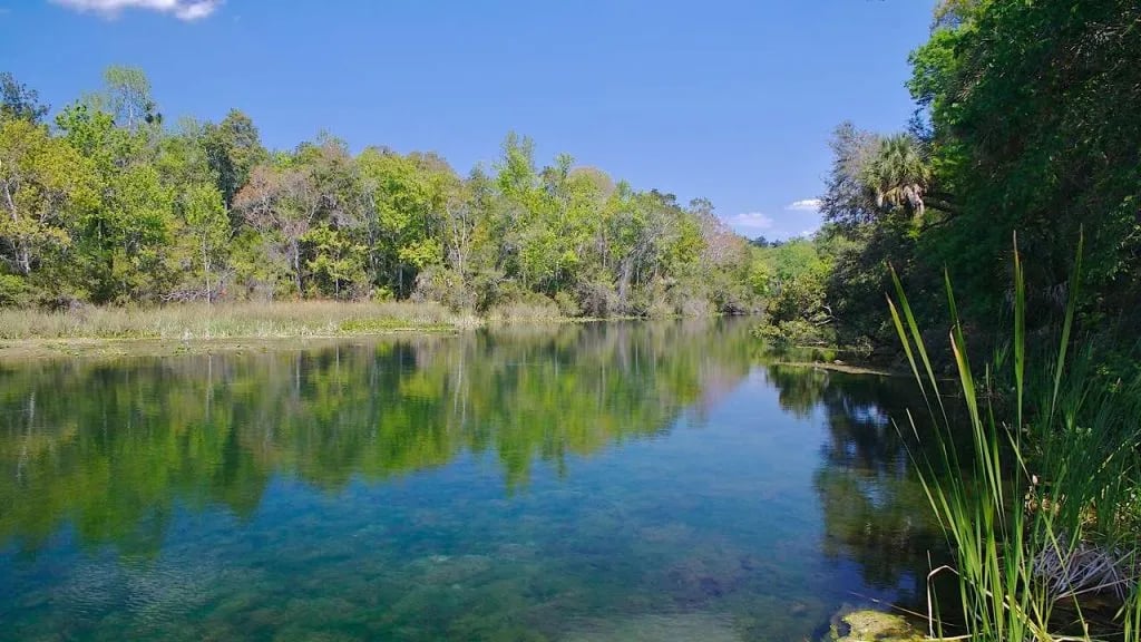 Mill Dam Lake Resort gallery 2