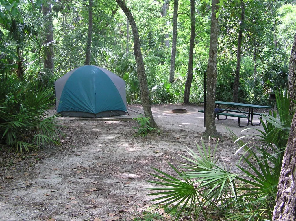 Silver Springs State Park Campground gallery 1