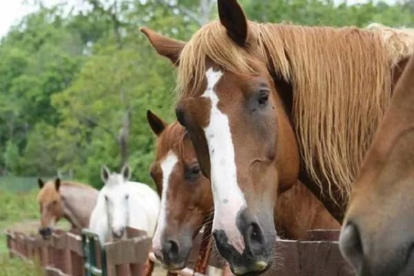 Whispering Hills RV Park, Inc gallery 2