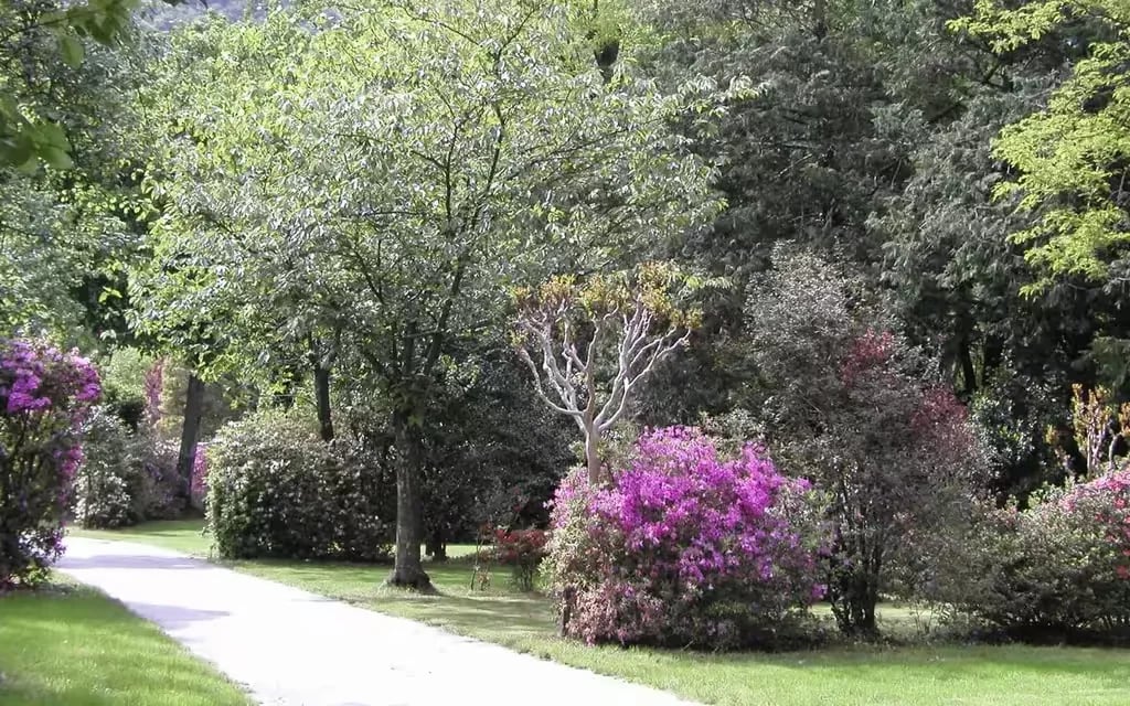 Campeggio Riviera gallery 2