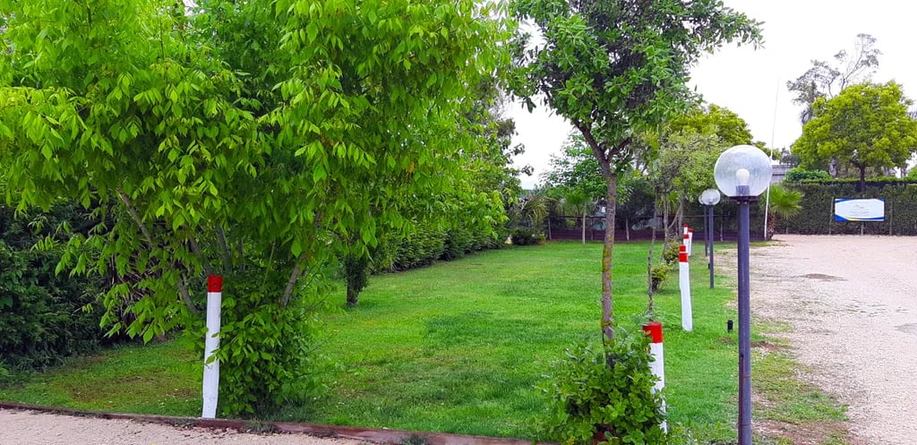 Agricampeggio Fratelli Mizzon gallery 3