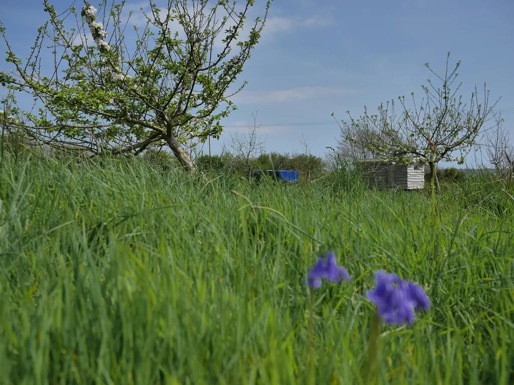 Brig’s Farm gallery 2
