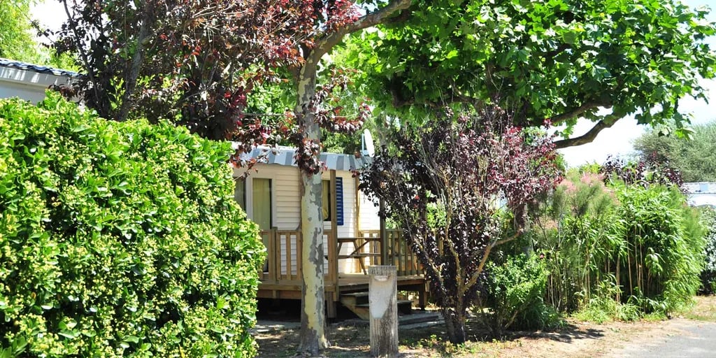 Camping Le Bois Tordu gallery 3