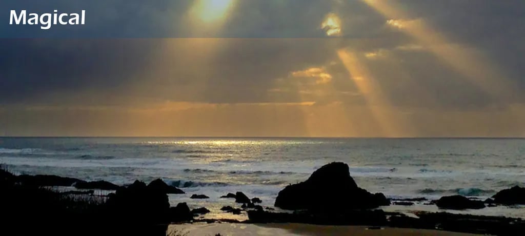 Seal Rocks RV Cove gallery 1