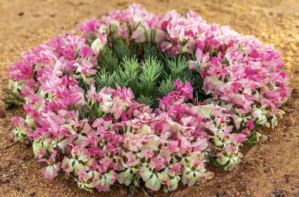 Milligan Island Eco Camping – Coastal Nodes