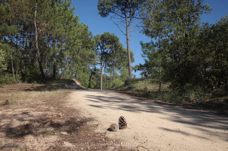 Camping Le Trèfle à 4 Feuilles gallery 1
