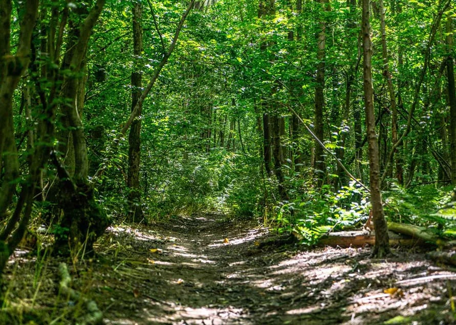 Oak View Holiday Park gallery 3