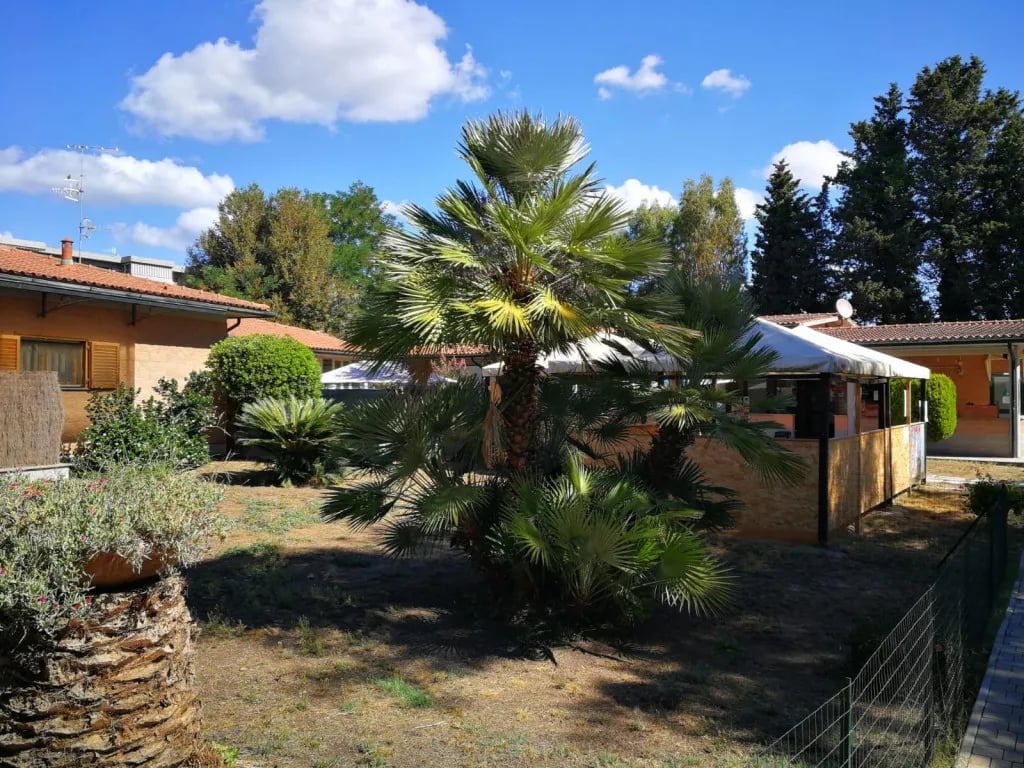 Campeggio Riva dei Butteri gallery 1