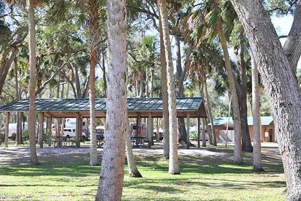 Manatee Hammock Campground gallery 1