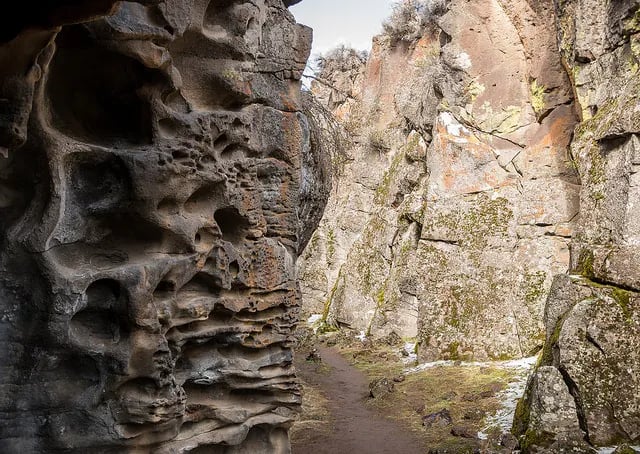 Frog Spring in Alvord Desert