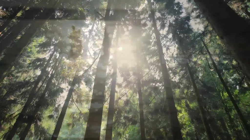 Letchworth Valley Campground & Resort