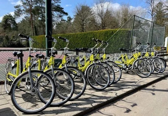 Vakantiecentrum De Hertenhorst gallery 3