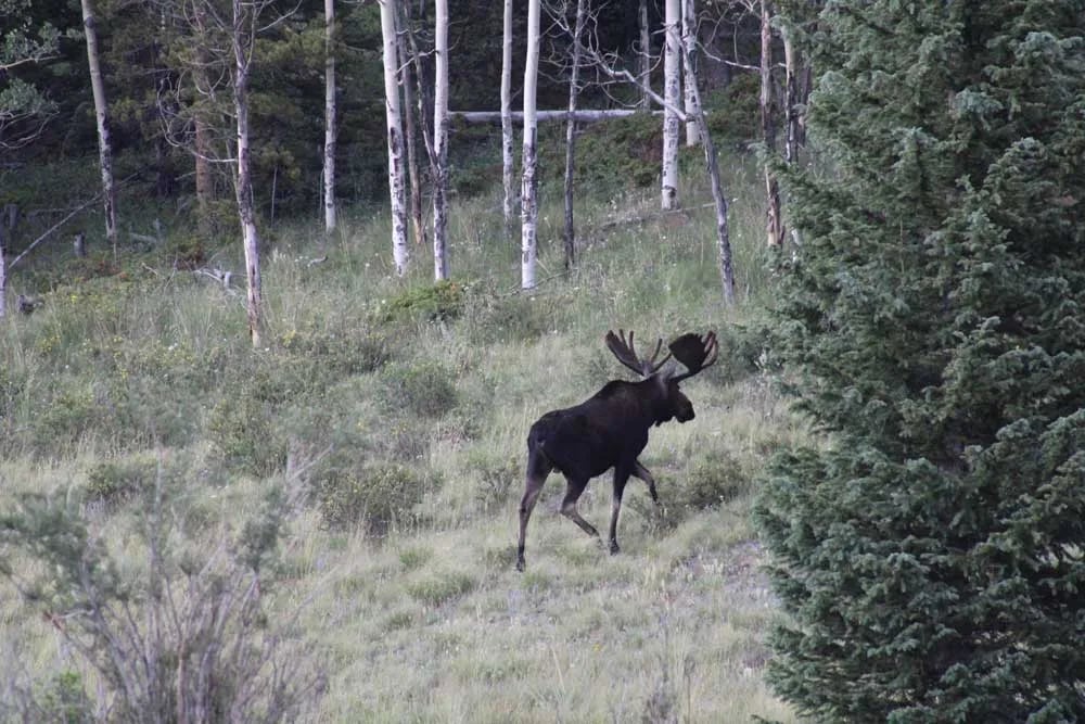 Silver Thread Basecamp gallery 3