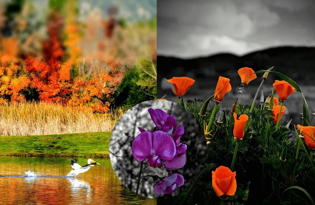 San Bernardino County Glen Helen Regional Park gallery 3