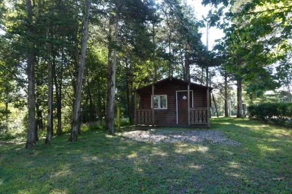 Black Bear RV Park gallery 3