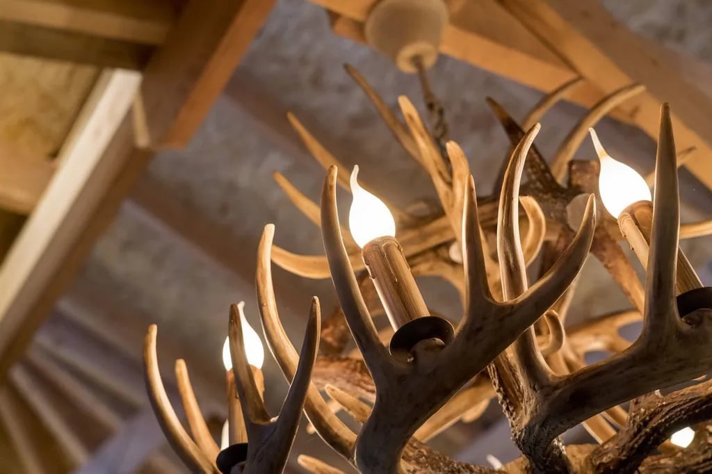 Vakantiepark Westerbergen gallery 2