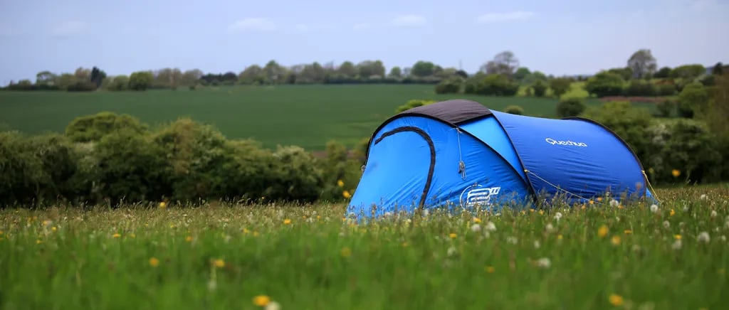 Pete’s Field gallery 3