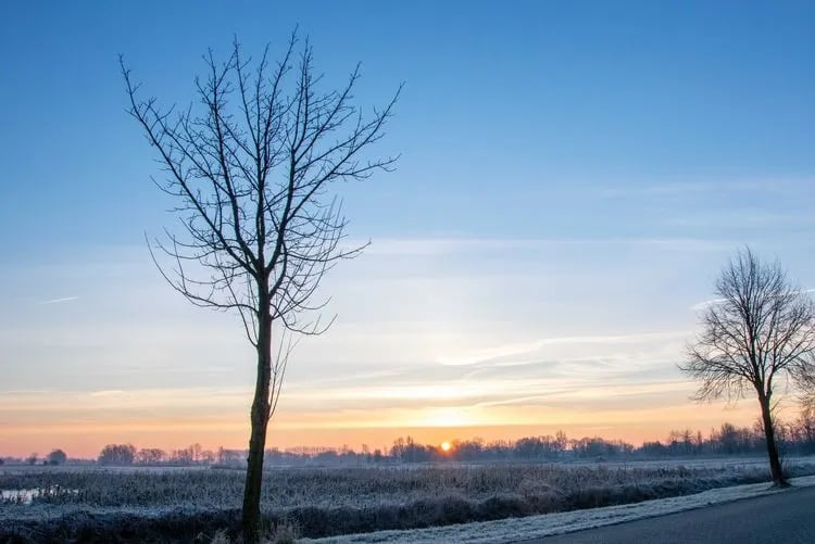 Campingplatz Großes Meer gallery 3