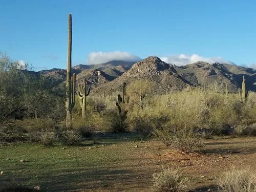 White Tank Mountain Regional Park gallery 2