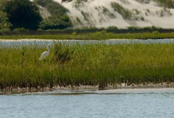 Emerald Isle RV Resort gallery 2