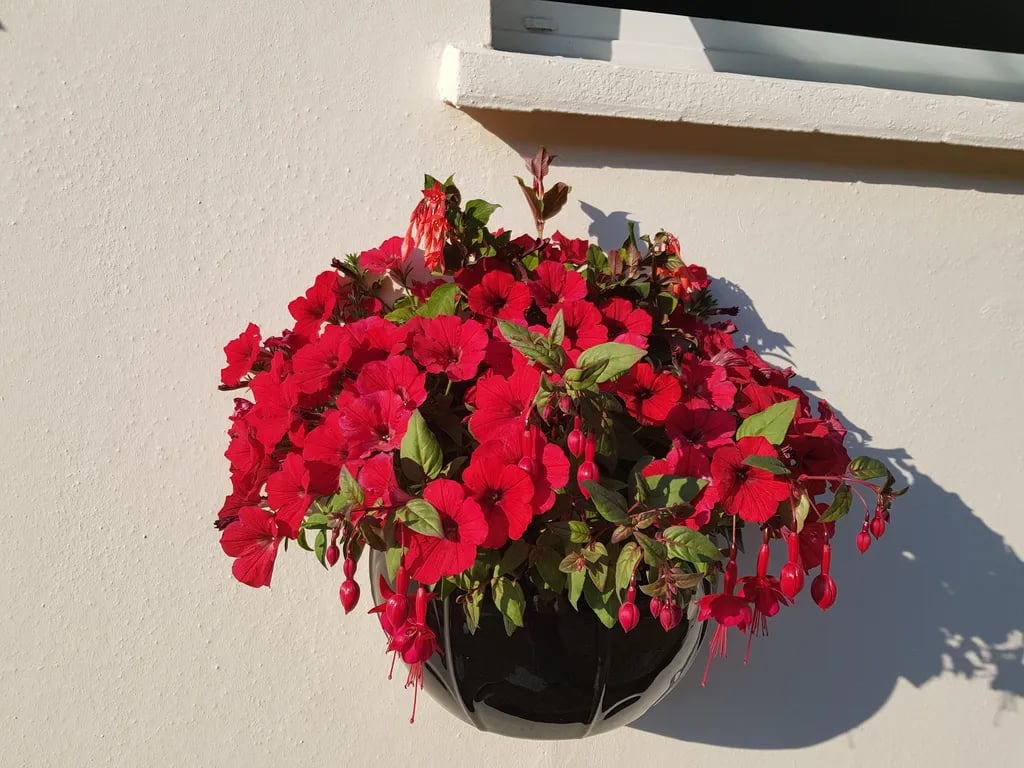 Camping Caradon Touring Park gallery 1