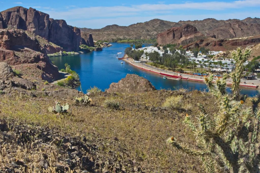 Holiday Palms RV Resort gallery 1