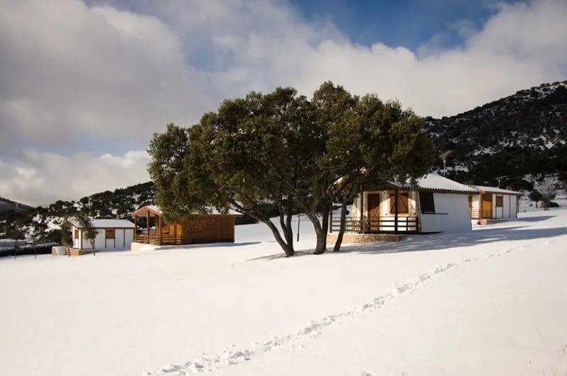 Camping Monte Holiday gallery 3