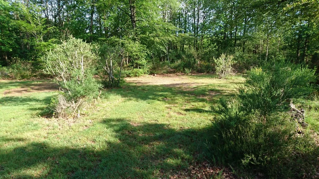 Naturisten Camping Lous Suais