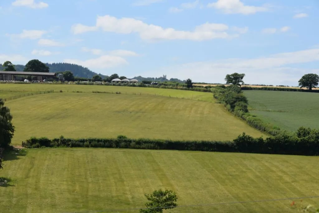 Kennford Int. Caravan Park gallery 2