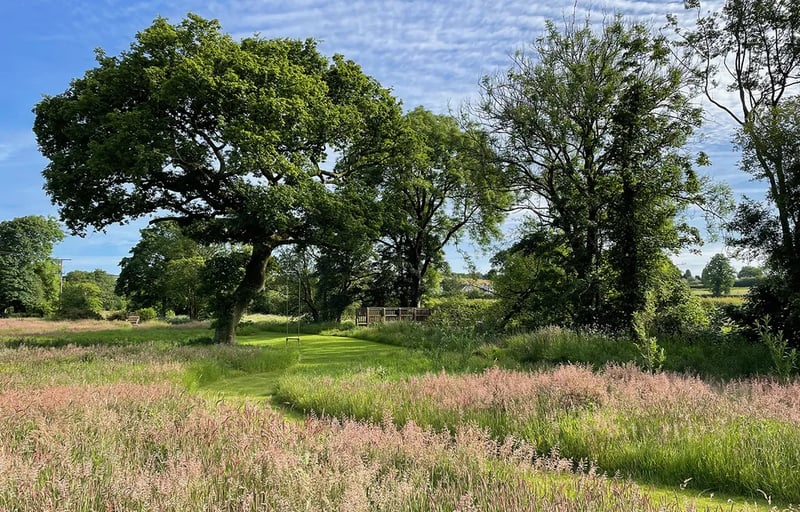 Maesyfelin Isaf gallery 2