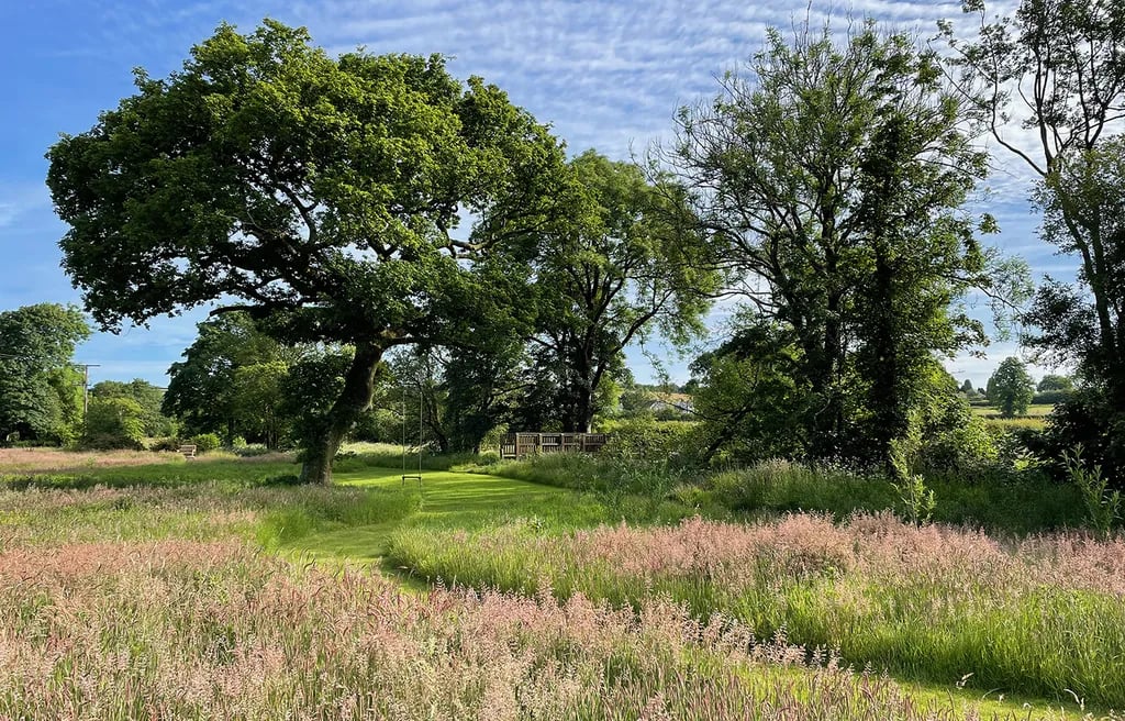 Maesyfelin Isaf gallery 2