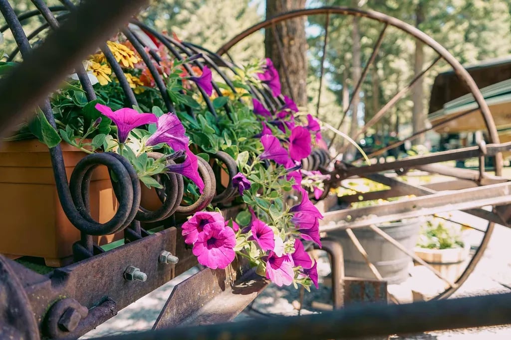 Jim & Mary’s RV Park gallery 2