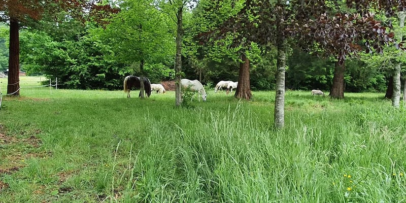 Les Cabanes de Graville gallery 1