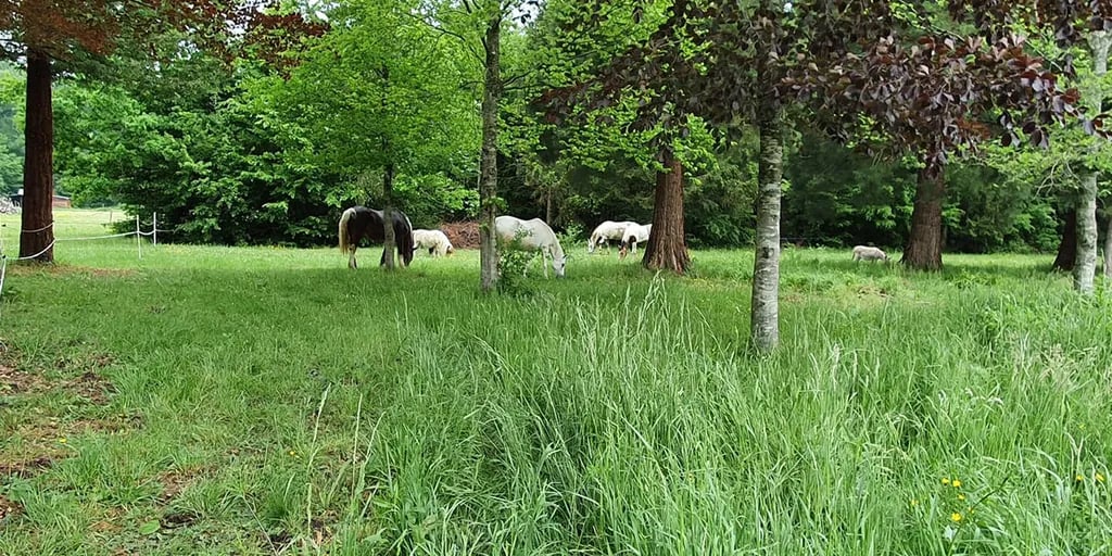 Les Cabanes de Graville gallery 1